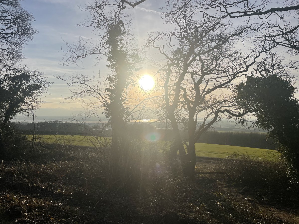 What a Difference a Day&nbsp;Makes