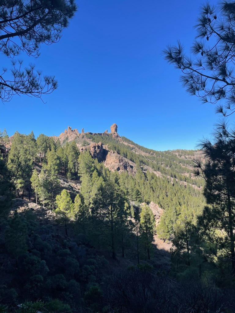 Roque Nublo in the distance