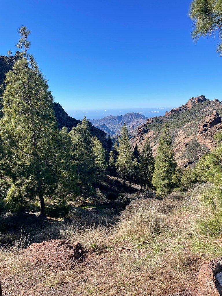 Hike in Gran Canaria