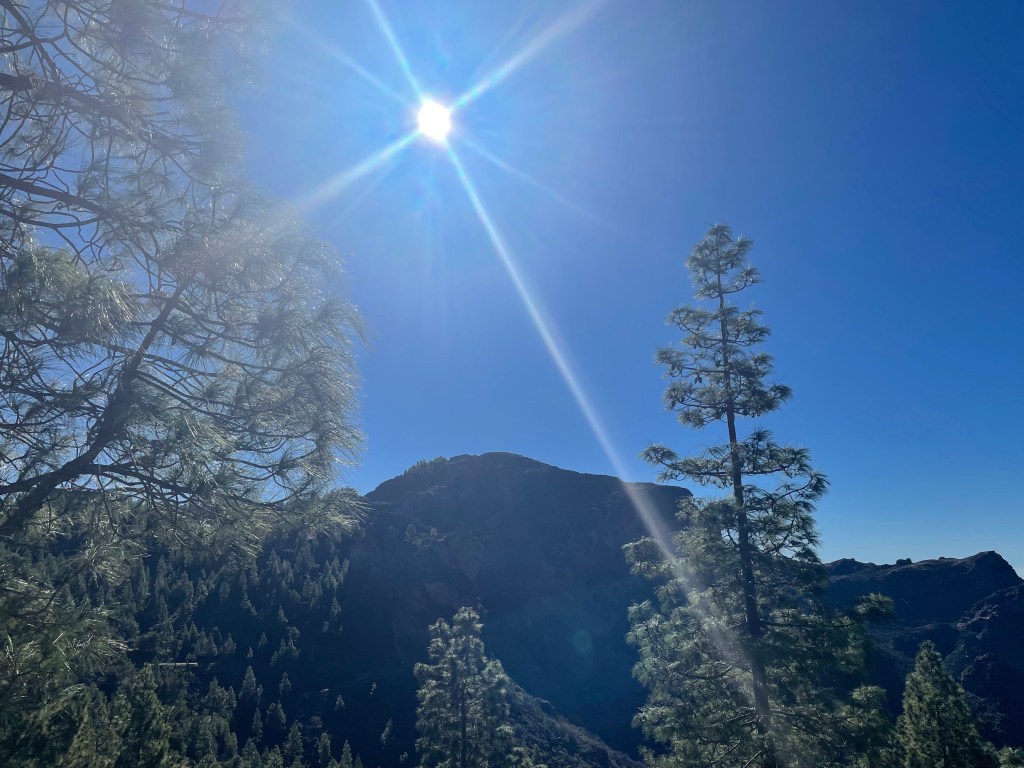 Sunshine in the mountains