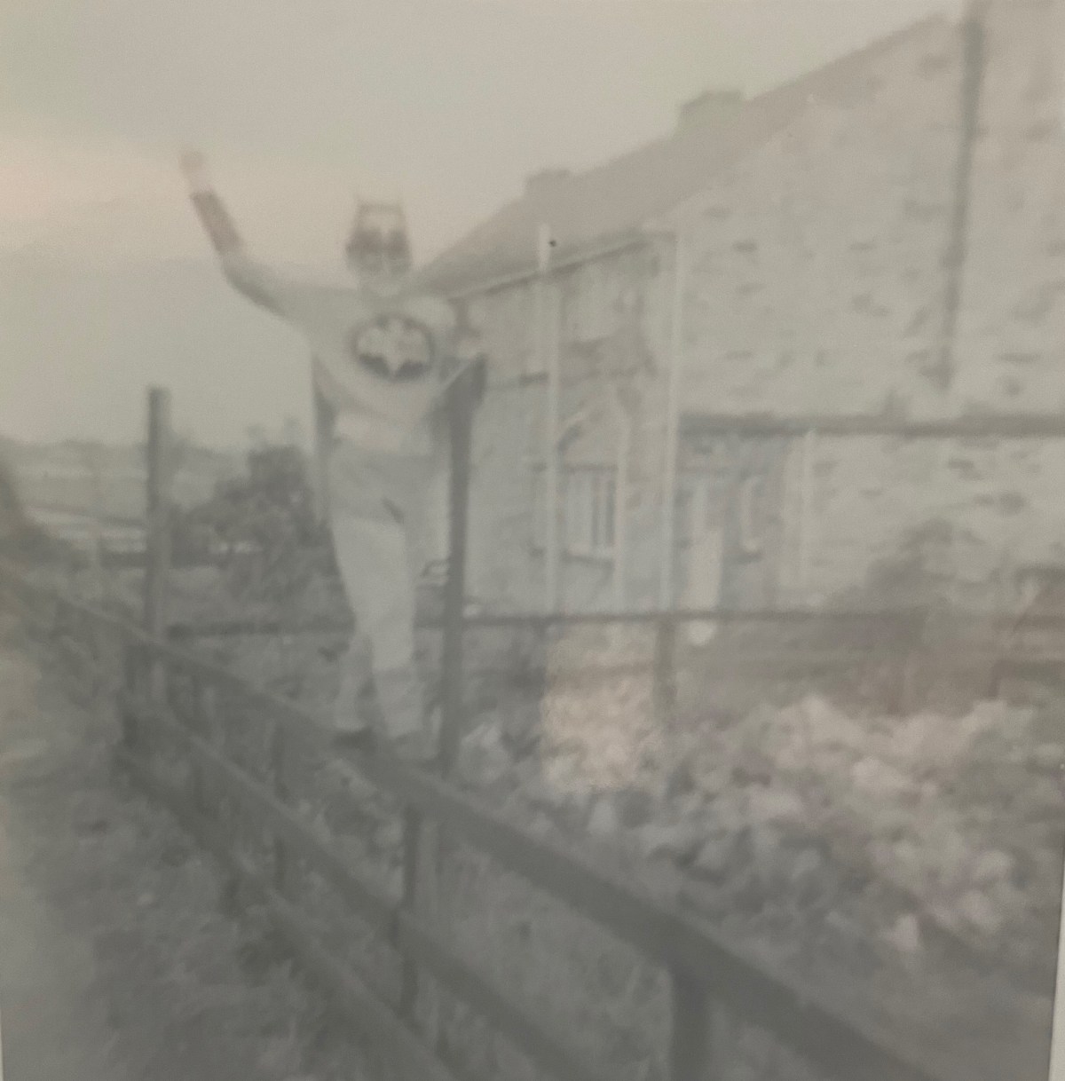 From Batman to Hawkboy: A Nostalgic Childhood&nbsp;Tale