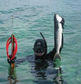 Spearfishing