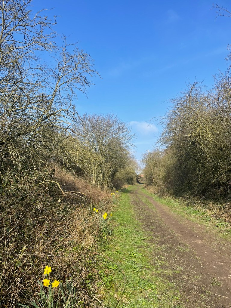 An abandoned railway line in East Yorkshire