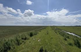 Flat windy countryside